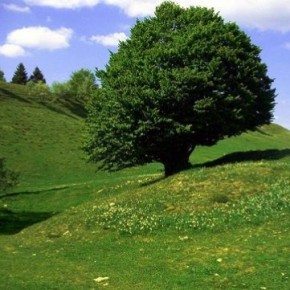 Et les montagnes du Jura ? (sponso) Et les montagnes du Jura ? (sponso)