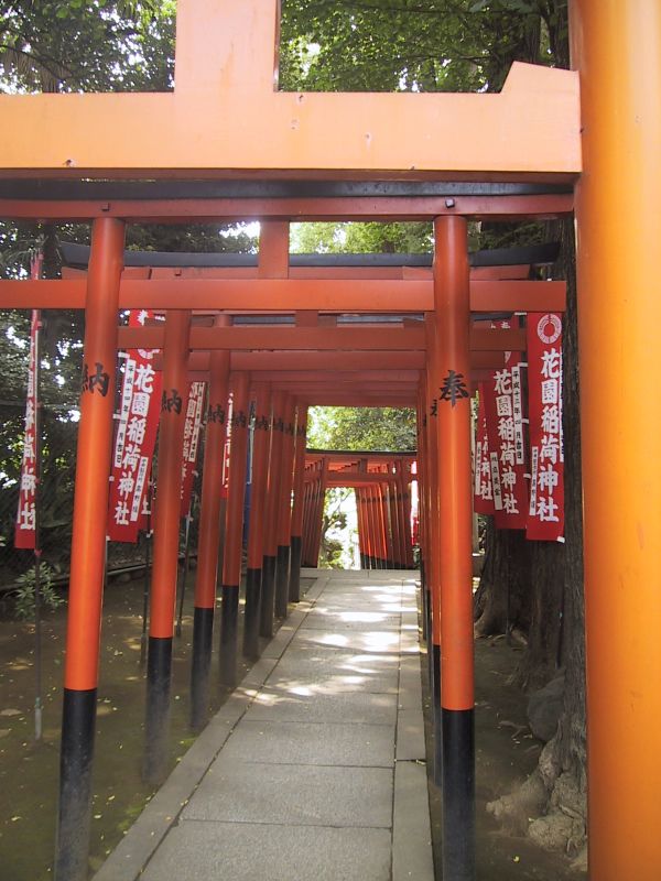 torii-japon