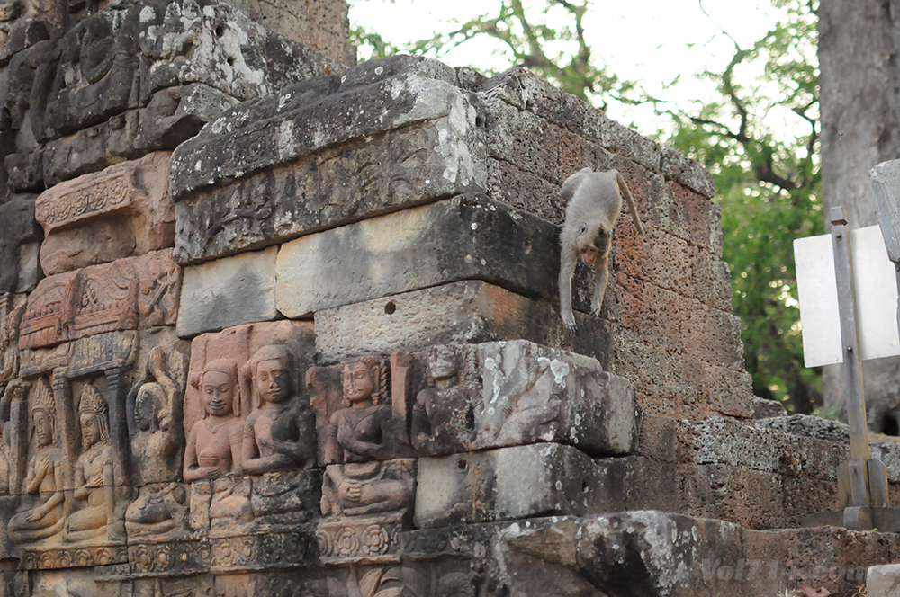 Cambodge_Angkor_Thom (16)