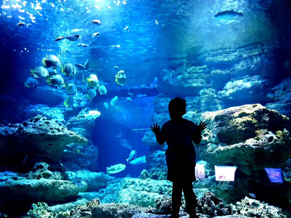 aquarium-cineaqua-paris (8)