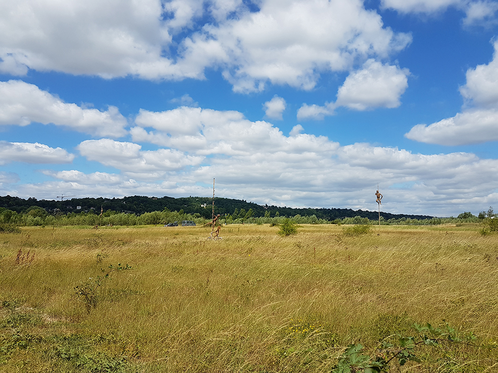 parc-peuple-herbe-seine (1)