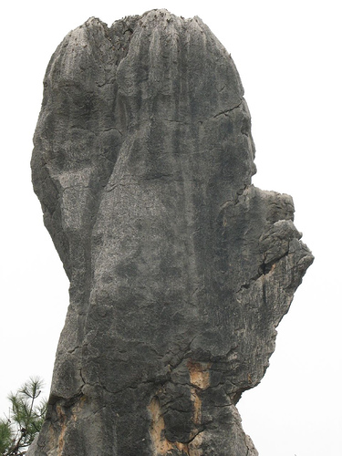 Shilin, la forêt de pierre kunming