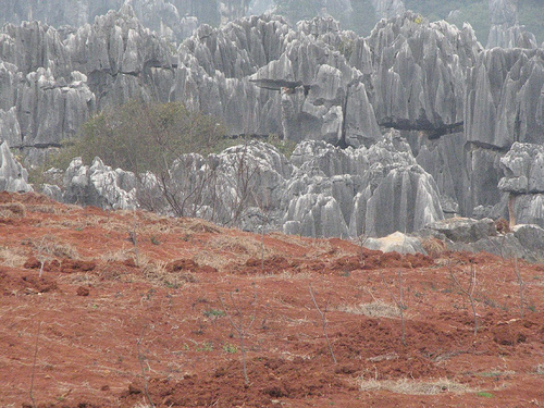 Shilin, la forêt de pierre kunming